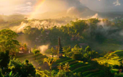 GIMMCA-grupo de investigación en mitigación de cambio climático en la amazonia.