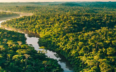 Grupo de Investigación y Estudios de Desarrollo Sostenible – GIEDES